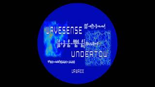 WAVESENSE - MIND FLIGHT