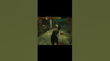 【DBDバグ】ゲートから脱出するレイス【Dead by Daylight】#Shorts