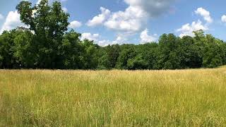 0  Hidden Hills  Lane , St James MO 65559 - Real Estate - For Sale -
