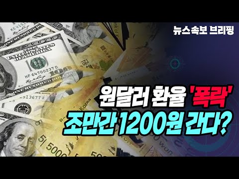   뉴스속보 원달러 환율 폭락 조만간 1200원 간다 정완진TV