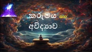 පුද්ගලයෙක් කියලා කියන්නෙ කායික මානසික ක්‍රියාවලියක් | @dhammasiddhi