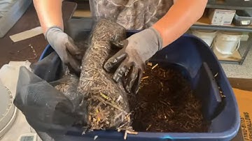 UPDATE PART 2 - DIY Indoor Table Top Pre-Compost Bin