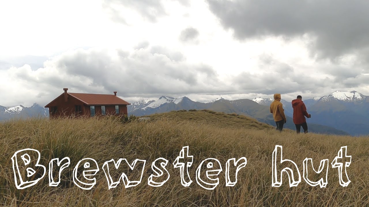Brewster hut track, Mount Aspiring National Park.