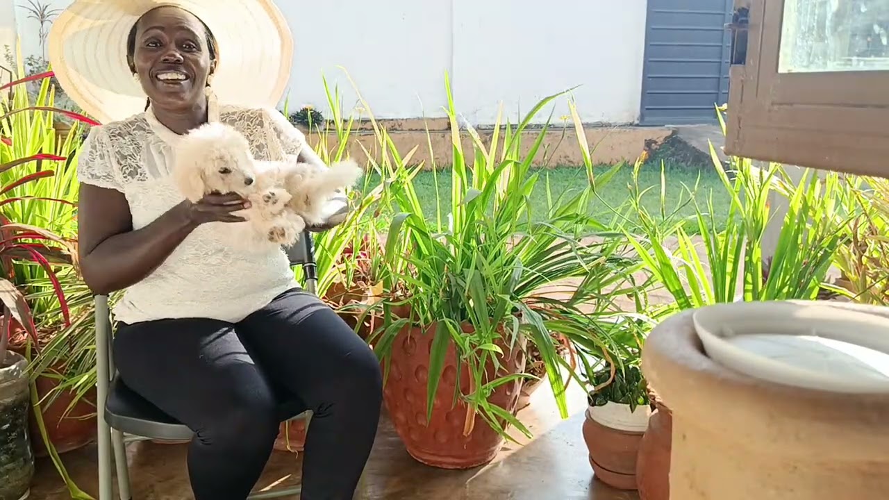 Mothers in love or Mothers in law