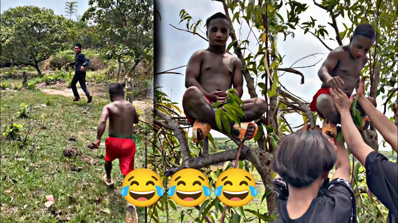 គ្រូតូចខឹងឡើងសមាធិលើដើមឈើ😂