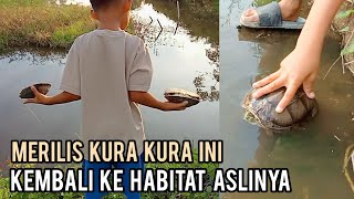 Langsung Hilang. Kura-Kuranya Senang Ketemu Dengan Rumah Barunya.