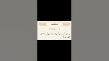 حفظ اية كل يوم | الاية 41 سورة المؤمنون | القارئ راشد الحليبة
