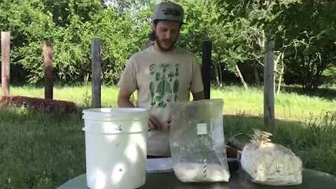 Savannah's Healthy Garden Class: Cultivating Mushr...