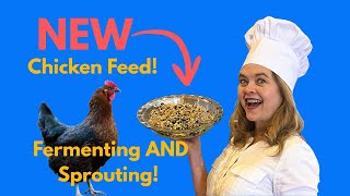 You’ve Never Seen Chicken Feed Like This—My Sprouted + Fermented Feed System