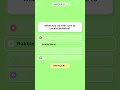 Awesome TOYS &amp; GAMES Quiz for Kids! 🦁
