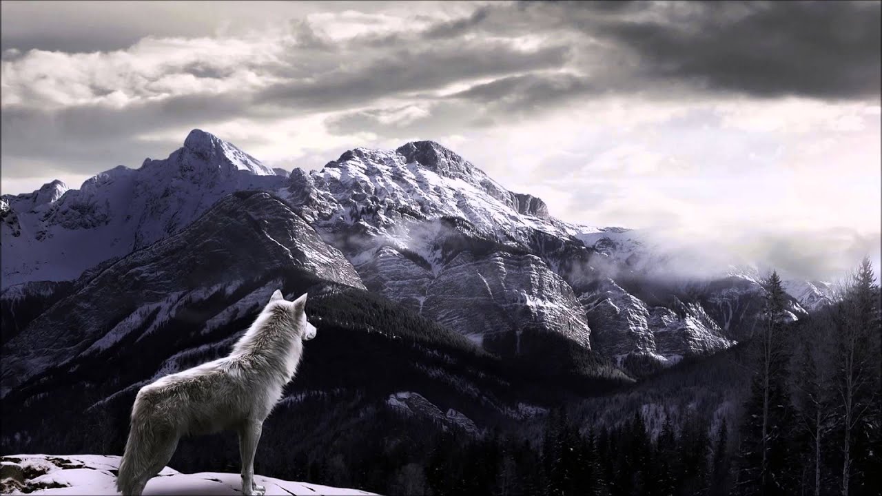 Ganju - Street Wolwe HD