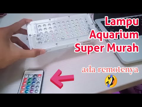 Review Lampu Aquarium 100 cm, menggunakan Recent LED 36W. untuk aquarium saya yang minimalis. Kontak. 