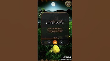 ان الله لذو فضل على الناس ولكن أكثر الناس لا يشكرون - تلاوة رائع جدا شيخ عبدالله موسى #قران_كريم