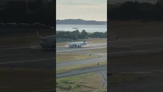 Kodiak Alaska Three Deer Wiped Out By The Jet