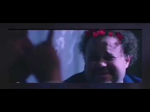 العصفور اللي مطير العقول
