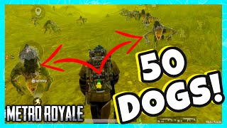 ALL RADIATION DOGS FOLLOWING ME in Metro Royale! | PUBG MOBILE Metro Royale