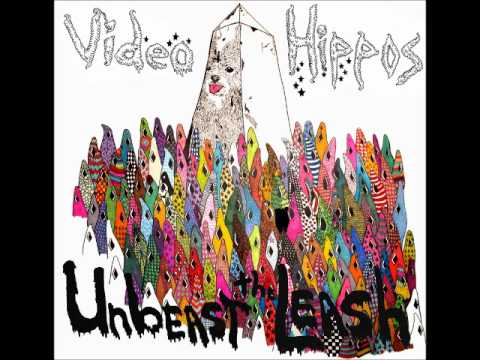 VideoHippos — Videohippos - Bear Fight