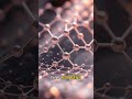 Chargeless Particles That Bounce Like Light