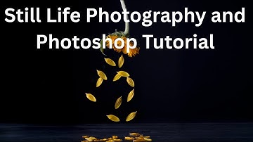 Floating Sunflower Petals: The Shoot and Photoshop tutorial