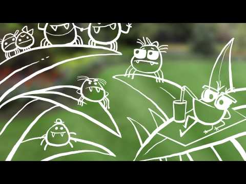 Video: Bugs In Lawn: Lär dig om vanliga gräsinsekter och hantering