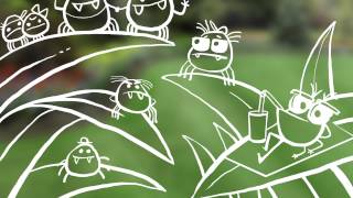 Get To Know Common Lawn & Garden Pests | TruGreen Pest & Insect Control