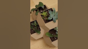 Why buy a planter when you can design your own?