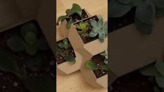 Why buy a planter when you can design your own?