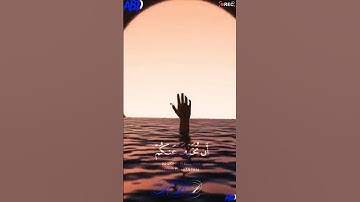 سورة النساء القارئ#ياسر_الدوسري‎@yasser_aldosry  @islam_sobhi#فلسطين#السعودية#المغرب#مصر