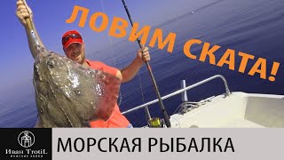видео: Рыбалка на Черном море. Ловля скатов морской лисы, дорадо, скорпены, морского окуня, скорпиона картинка: Рыбалка на Черном море. Ловля скатов морской лисы, дорадо, скорпены, морского окуня, скорпиона