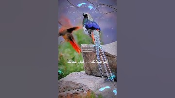 تلاوة خاشعة عطرة مباركة جميلة عذبة للشيخ عبدالباسط عبدالصمد رحمه الله ماتيسر من سورة الحديد
