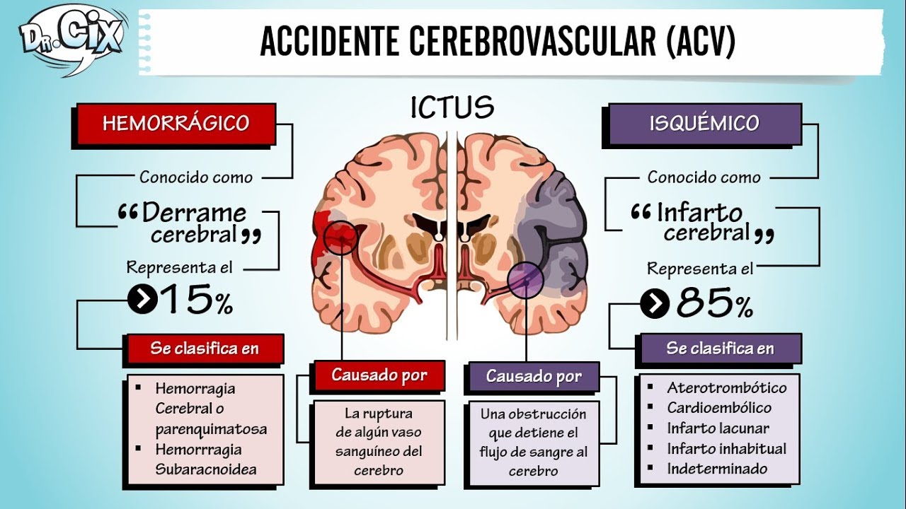 Salud & Enfermedad: Sistema circulatorio: Accidente cerebrovascular