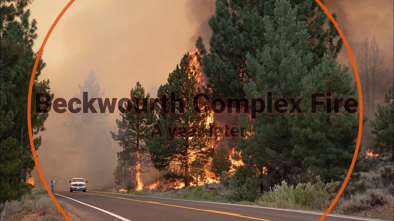 The Beckwourth Fire from Above - A Year Later