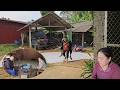 Ly May and her mother take in an elderly woman living alone | Mr. Thang's scheme