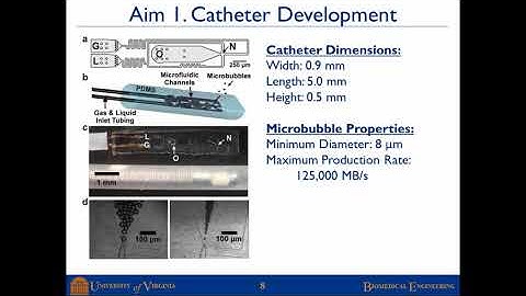 Large Diameter Microbubbles Produced By A Catheter-Based Microfluidic Device For Sonothromobolysis