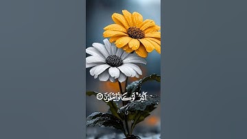 #تلاوات 🍁🍃 #ماهر_المعيقلي #الحرم_المكي #المسجد_الحرام #quran #makkah #haram #اكسبلور #المصحف