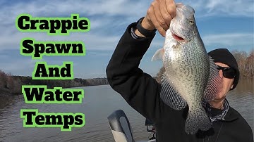 Must Know Crappie Spawn and Water Temps - Crappie Fishing