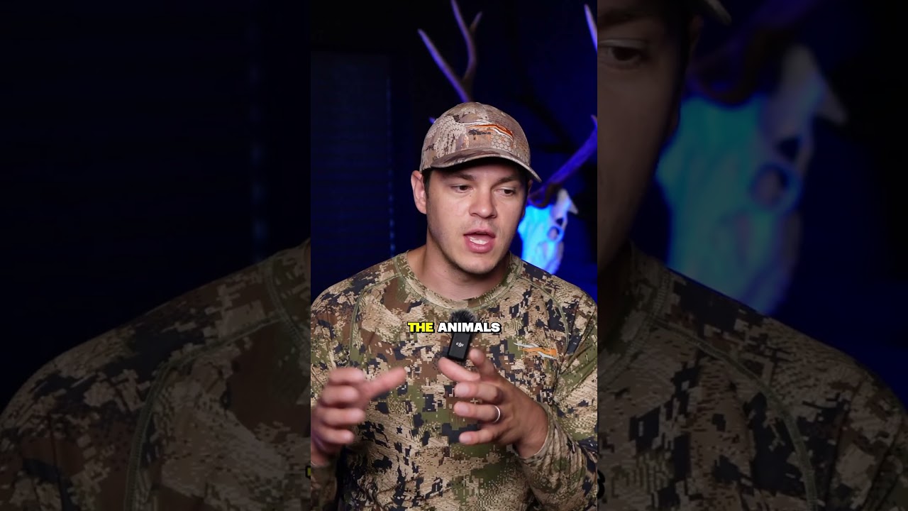 Archery vs Rifle Elk Hunting in Oregon. How to hunt elk during September. 