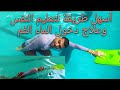 تعليم سباحه أسهل طريقة لتعليم النفس وعلاج شرب الماء أثناء السباحة فديو مهم جدا 