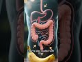Benefits of bananas to our health. #goviral #shorts #viral