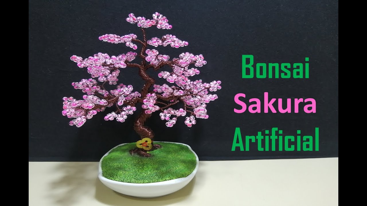 Como hacer un bonsai