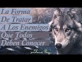 El Lobo Que Sabía Matar A Una Serpiente Con Su Propio Veneno - Alimento Para La Mente