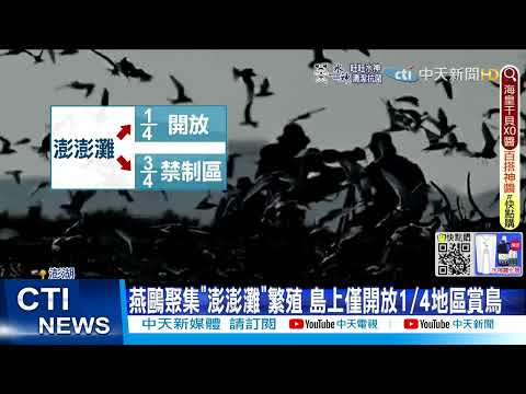 【每日必看】國小校長遭爆擅闖燕鷗禁區 鳥友:大喇喇走進去@中天新聞CtiNews  @貓大愛看劇  20220625
