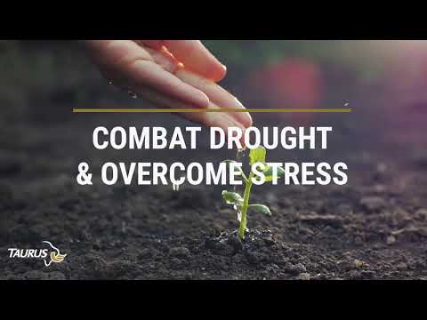 Active BUILD | Fight Stress & Keep Growing