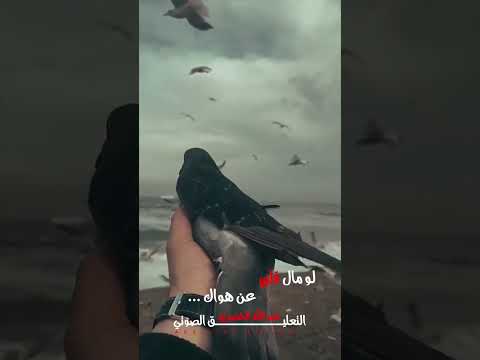 لو مال قلبي فقد الحبيب أحباب حبيب فقدان فراق فقدتك 