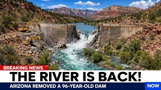 They Removed a 96-Year-Old Dam in Arizona — What Happened Next Stunned Scientists