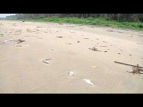 Shell found 'partially responsible' for Niger Delta oil spill