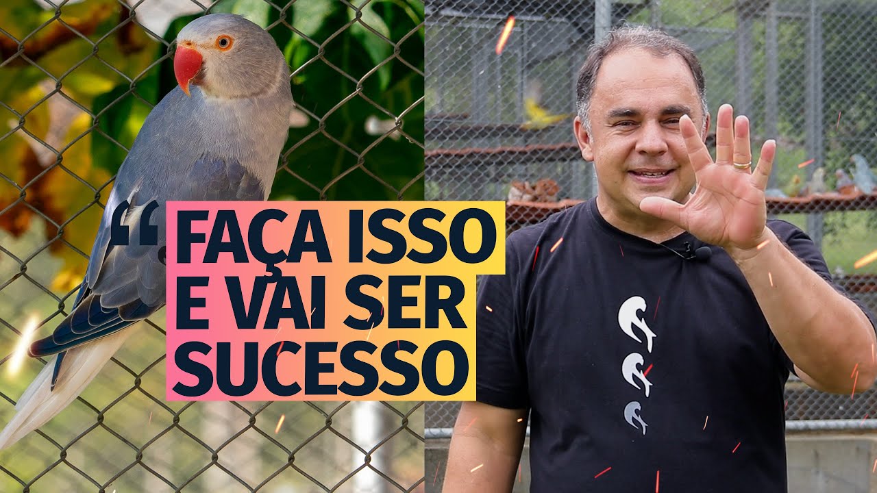5 CUIDADOS IMPORTANTES PARA TER COM SEU RING NECK