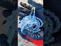 I Found $100,000 Worth of Treasure at the Beach!