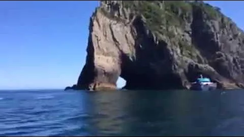 Epic Adventures  Kingfish Charters Bay of Islands