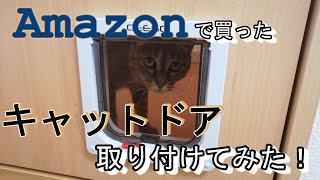 DIY ド素人でもキャットドアをつけたい!!!!